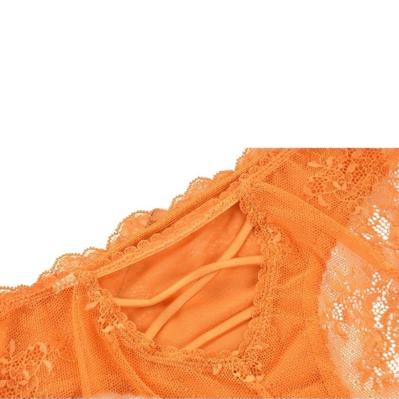 Yesica Lace Brief.