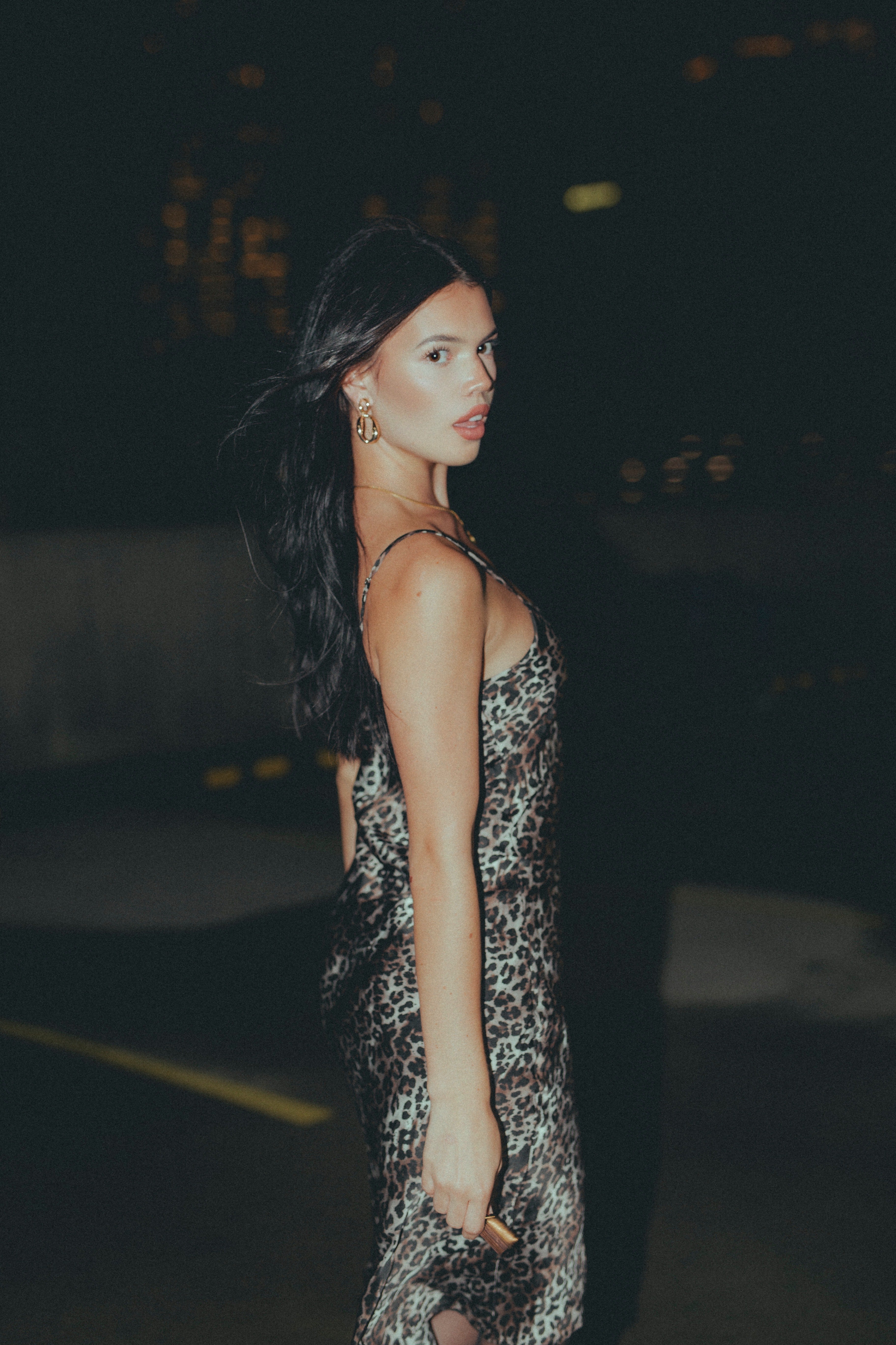 Perera Silk Dress