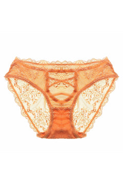 Yesica Lace Brief