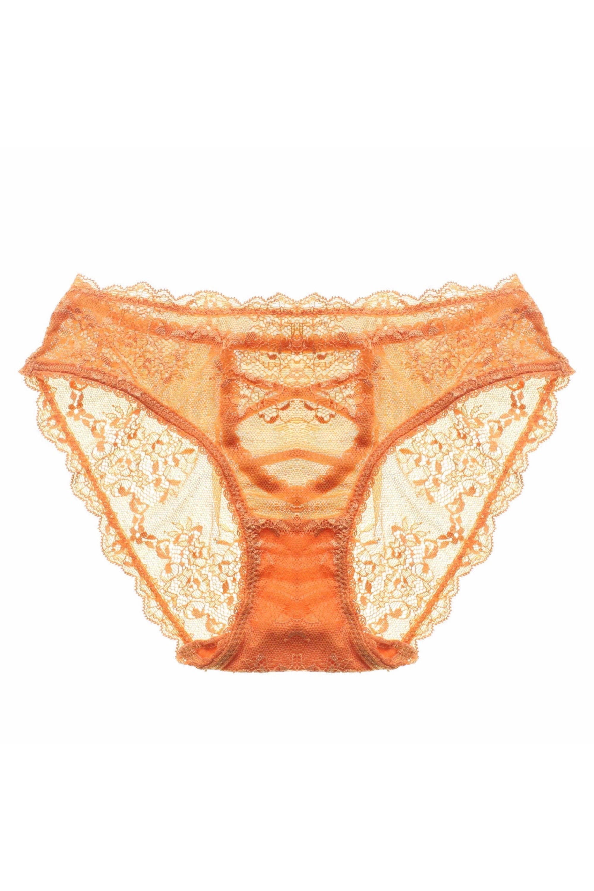 Yesica Lace Brief.